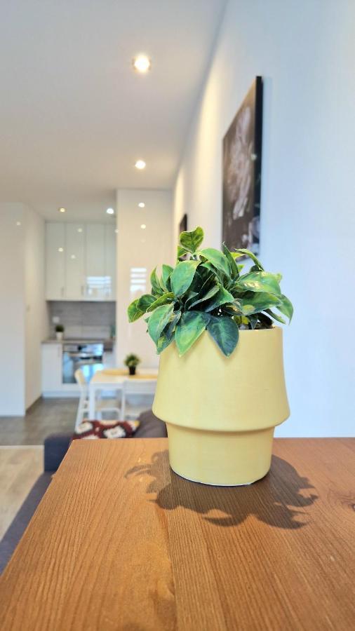 Apartament Czechowska Comfort Lublin Eksteriør billede